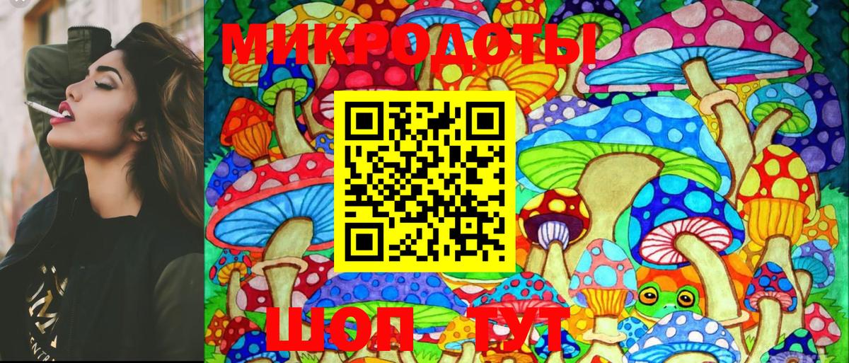 Рыбинск  Псилоцибиновые грибы MAGIC MUSHROOMS  Вход с VPN 